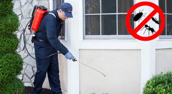 Salıpazarı Böcek ve Haşere İlaçlama böcek ilaçlama ve haşere kontrolü — ilaclama-tr.com